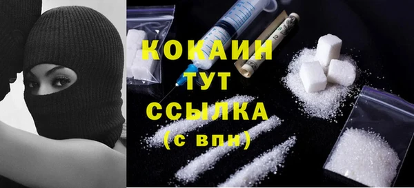 стаф Заводоуковск