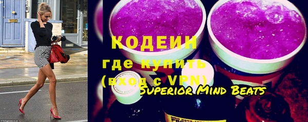 стаф Заводоуковск