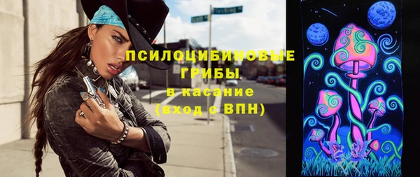 гидра Заволжск