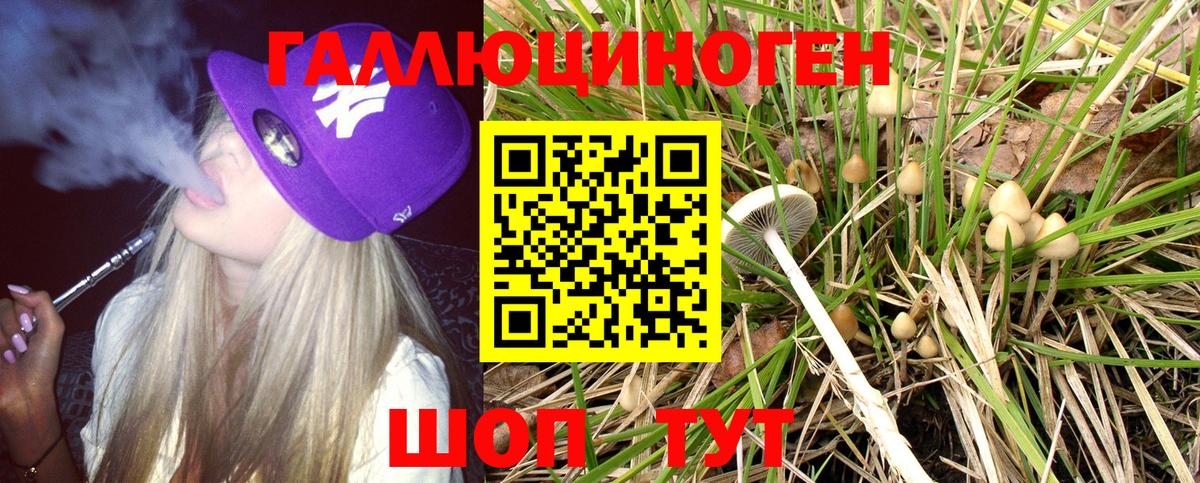 Псилоцибиновые грибы Psilocybe Россия