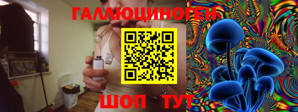 дарнет шоп  Галлюциногенные грибы мицелий  Вход с VPN  Псилоцибиновые грибы Psilocybe  Россия 